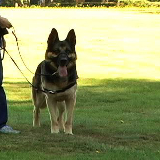 Two points of contact